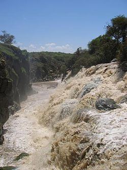 Awash River httpsuploadwikimediaorgwikipediacommonsthu