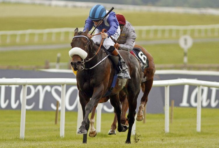 Awtaad Irish 2000 Guineas victory for Awtaad Europe