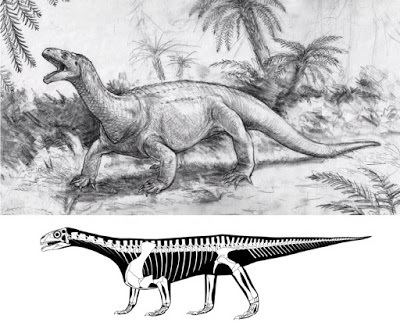 Azendohsaurus Azendohsaurus spp
