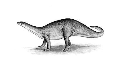 Azendohsaurus The Dino Directory Azendohsaurus Natural History Museum