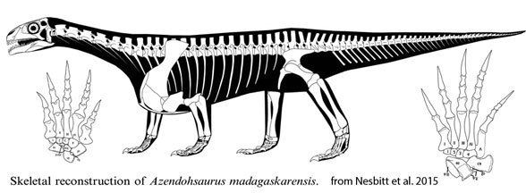 Azendohsaurus azendosaurus588jpg
