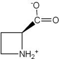 Azetidine-2-carboxylic acid httpsuploadwikimediaorgwikipediacommonsthu