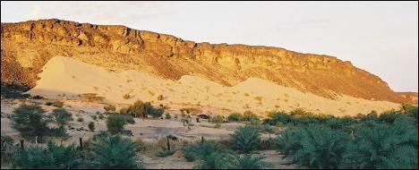 Azougui LookLex Mauritania Azougui