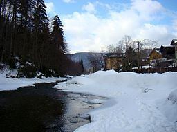 Azuga River httpsuploadwikimediaorgwikipediacommonsthu