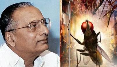 B. Nagi Reddy B Nagi Reddy Award for Eega Sai TeluguMirchicom