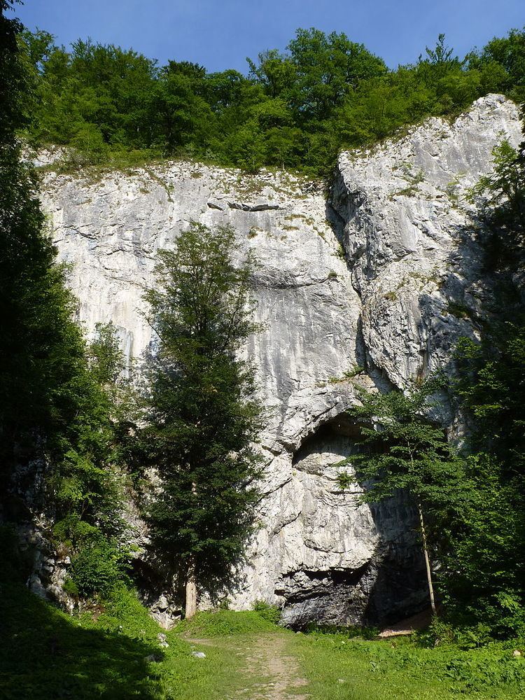 Býčí skála Cave