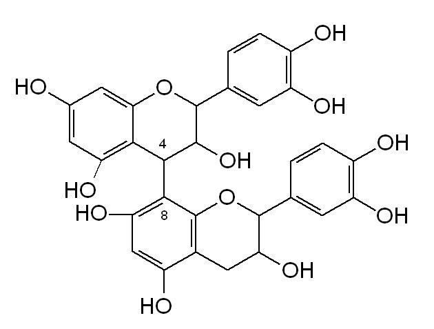 B type proanthocyanidin