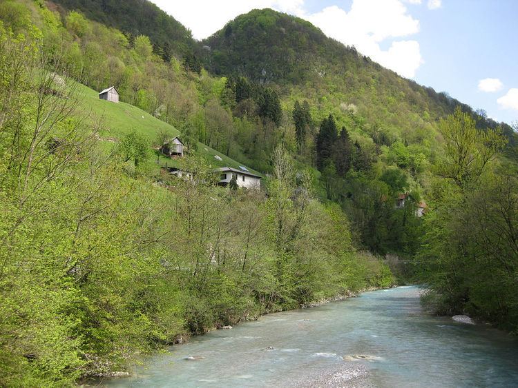 Bača (river)