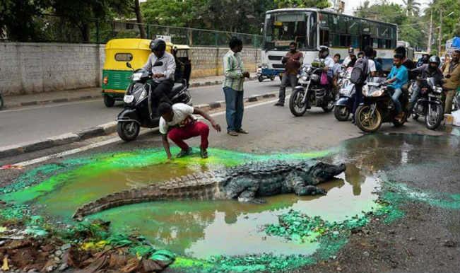 Baadal Nanjundaswamy Artiste Baadal Nanjundaswamy transforms Pothole into a