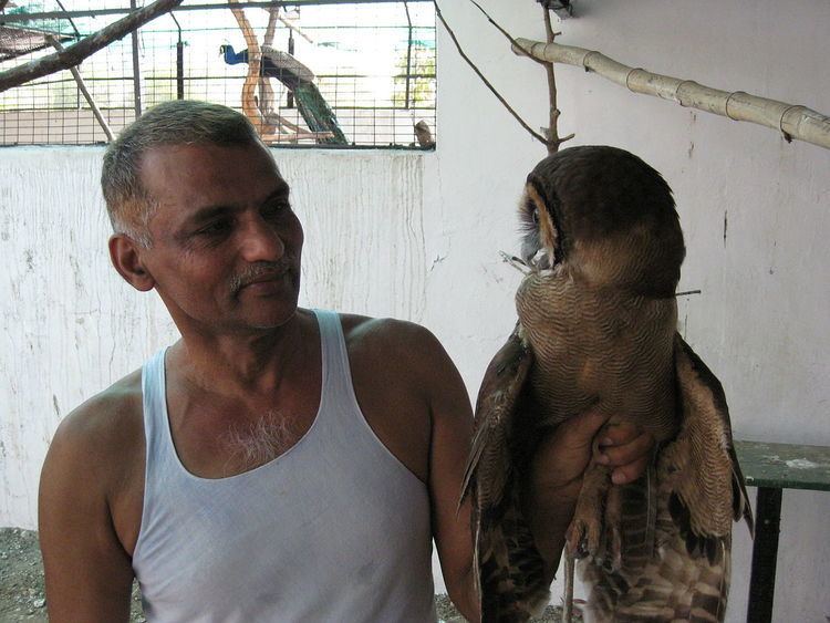 Baba Amte Prakash Amte Wikipedia