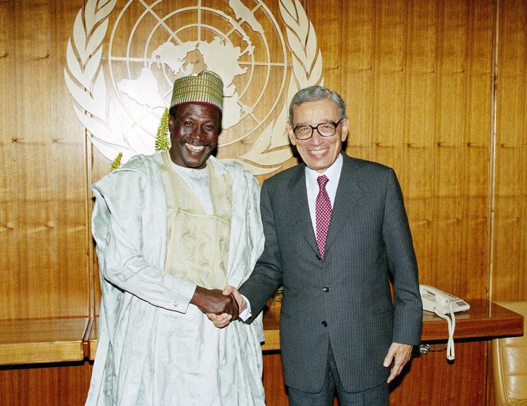 Baba Gana Kingibe Permanent Mission of Nigeria to the United Nations New