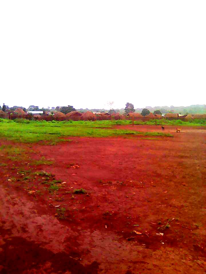 Babongo, Adamawa