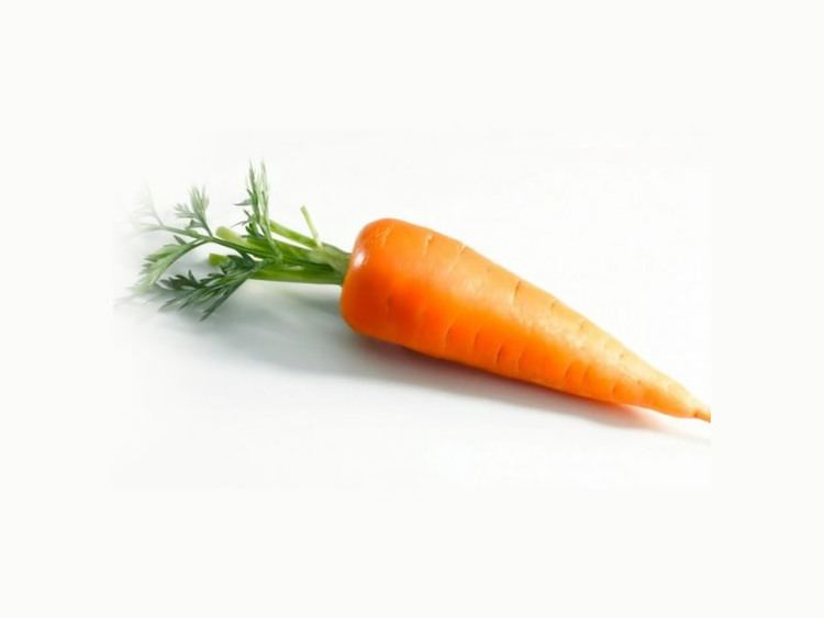 Baby carrot Baby Carrot Zanahoria Cambray FLEISCHMANNS PRODUCE