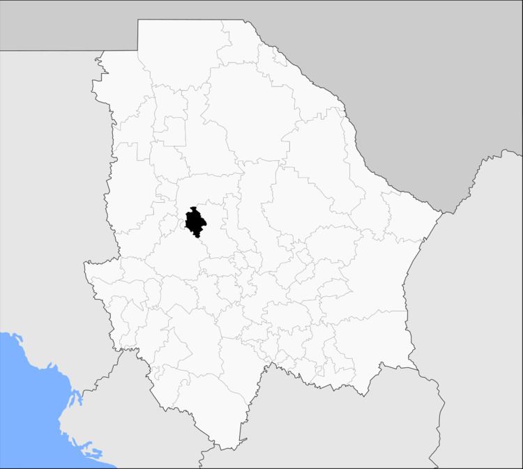 Bachíniva Municipality