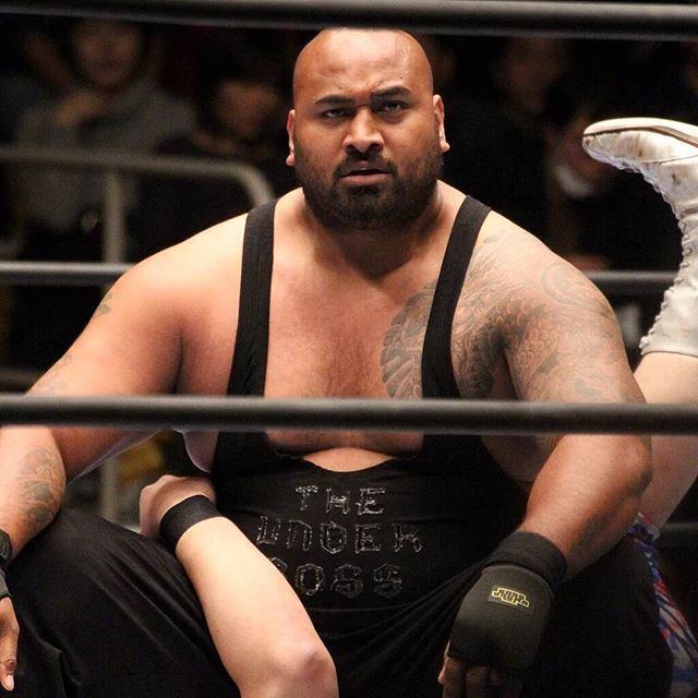 Bad Luck Fale The 25 best Bad luck fale ideas on Pinterest Plus size belle