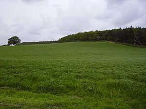 Badbury Hill httpsuploadwikimediaorgwikipediacommonsthu