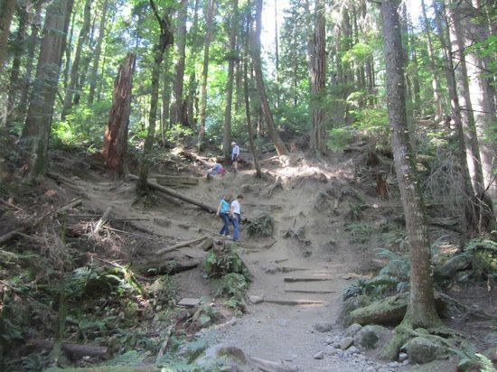 Baden-Powell Trail BadenPowell Trail West Vancouver British Columbia Top Tips