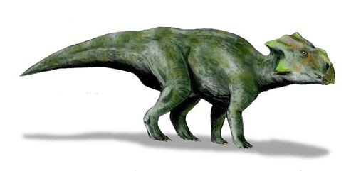 Bagaceratops Bagaceratops rozhdestvenskyi Dinosaur Herbivore Dinosaurs Planet