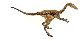 Bagaraatan Bagaraatan ostromi Dinosaur Asian Dinosaurs Planet Dinosaur