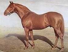 Baguette (horse) httpsuploadwikimediaorgwikipediacommonsthu
