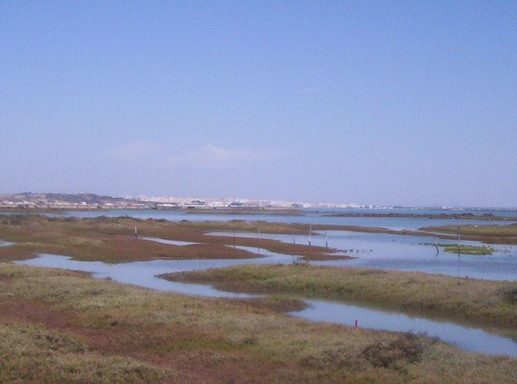 Bahía de Cádiz Natural Park