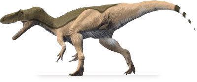 Bahariasaurus BAHARIASAURUS DinoChecker dinosaur archive
