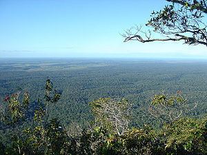 Bahia coastal forests httpsuploadwikimediaorgwikipediacommonsthu