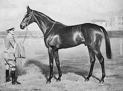 Bahram (horse) httpsuploadwikimediaorgwikipediacommonsthu