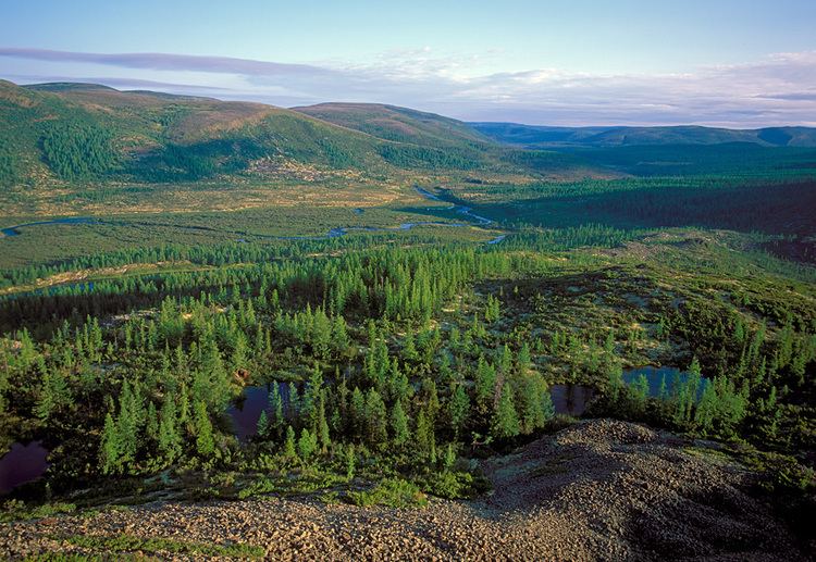 Baikal-Lena Nature Reserve