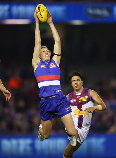 Bailey Dale Bailey Dale Pictures AFL Rd 12 Western Bulldogs v