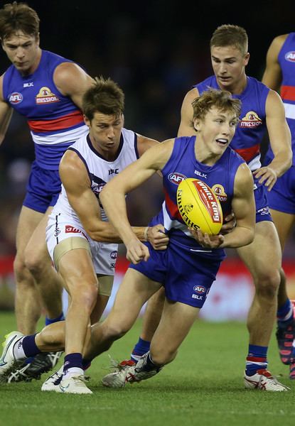 Bailey Dale Bailey Dale Photos AFL Rd 7 Western Bulldogs v