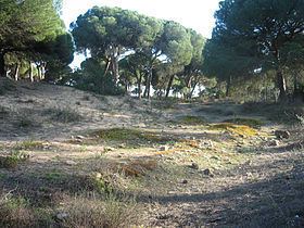 Bajo Guadalquivir httpsuploadwikimediaorgwikipediacommonsthu