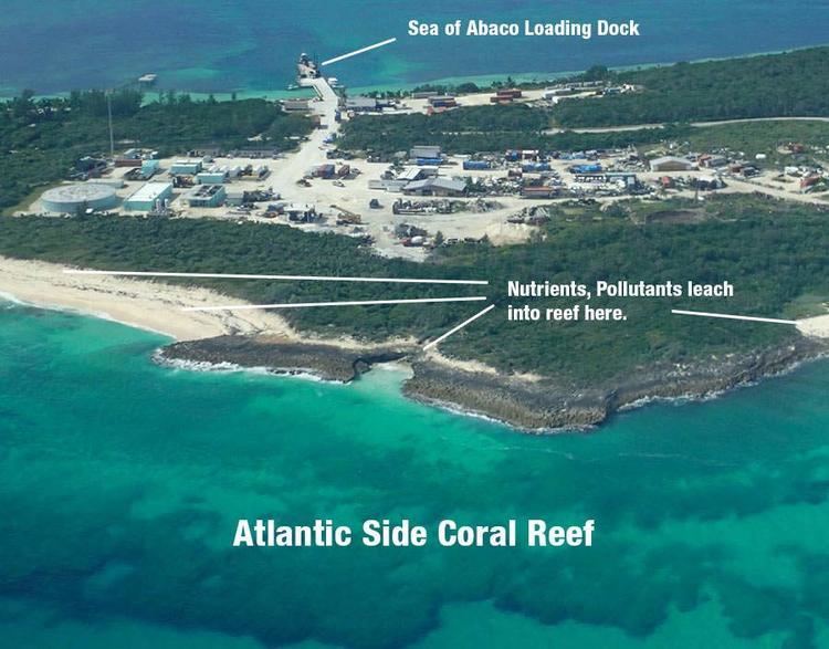 Baker's Bay Guana Cay Blog Documenting the Bakers Bay Coral Reef Debacle