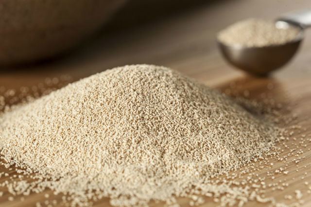 Baker's yeast Could GM Baker39s Yeast Be Contributing to Skyrocketing Rates of