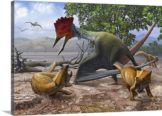 Bakonydraco A large Bakonydraco pterosaur attacking a nest of small Ajkaceratops