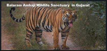 Balaram Ambaji Wildlife Sanctuary Balaram Ambaji Wildlife Sanctuary in Gujarat Balaram Ambaji