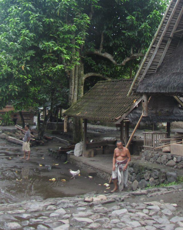 Bali Aga