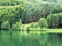 Balkana Lake httpsuploadwikimediaorgwikipediacommonsthu