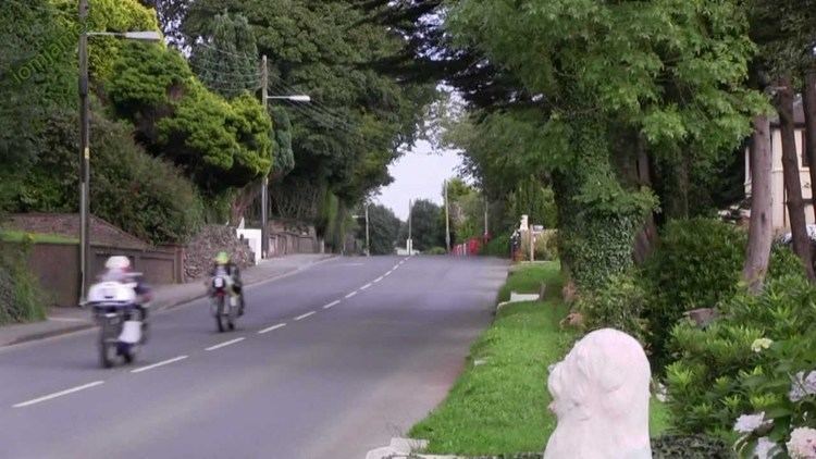 Captured two motorbikes racing on a road with trees on its sides and a lion statue