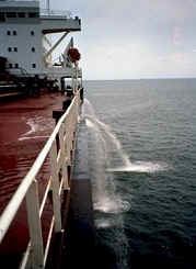 Ballast water discharge and the environment
