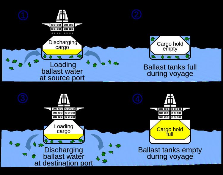 Ballast water regulation in the United States