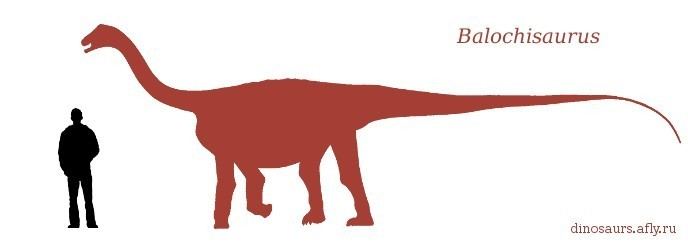 Balochisaurus imagesdinosaurpicturesorgbalochisaurusrazmer6