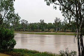 Balonne River httpsuploadwikimediaorgwikipediacommonsthu