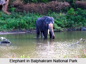 Balphakram National Park BalphakramNationalParkjpg