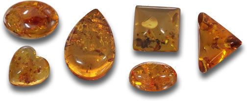 Baltic amber gemselectbalticamberjpg