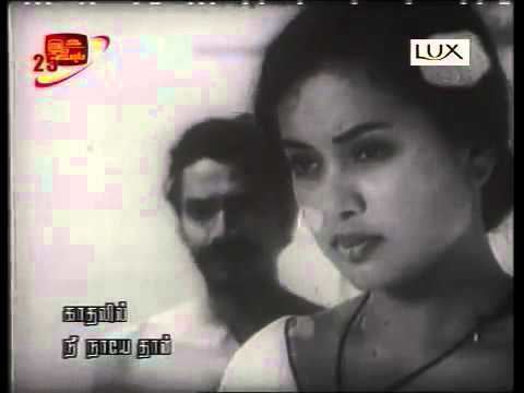 Bambaru Avith Bambaru Awith 1978 Udumbara Song TM Jayaratne YouTube