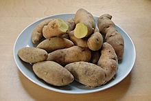 Bamberg (potato) httpsuploadwikimediaorgwikipediacommonsthu