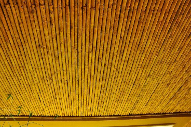 Bamboo ceiling Tamarindo Costa Rica Daily Photo Bamboo ceiling