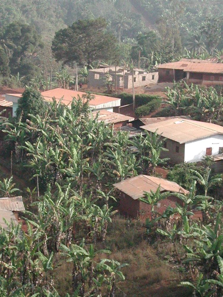Bana, Cameroon