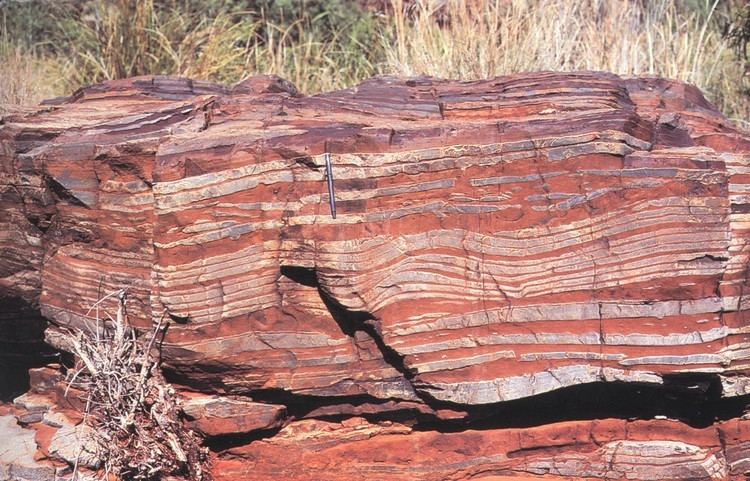 Banded iron formation EES 119219
